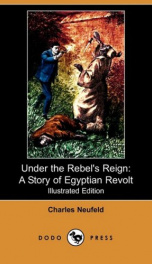 Under the Rebel's Reign_cover