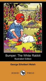 Bumper, The White Rabbit_cover