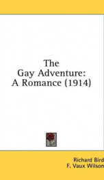 the gay adventure a romance_cover