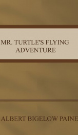 Mr. Turtle's Flying Adventure_cover