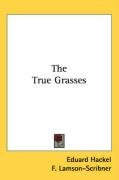 the true grasses_cover
