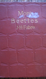 more beetles_cover