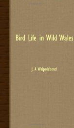 bird life in wild wales_cover