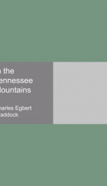in the tennessee mountains_cover