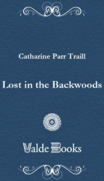 lost in the backwoods_cover