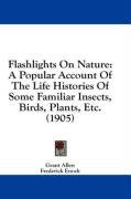 flashlights on nature_cover
