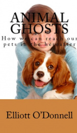 Animal Ghosts_cover