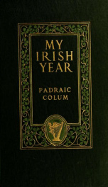 My Irish year_cover