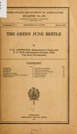 The green June beetle [Cotinis nitida L.]_cover