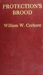 Protection's brood; a presentation of the direct and indirect consequences of the continuance of a protective tariff system in the United States,--and a discussion of some of the serious problems which have naturally arisen in connection with or because o_cover