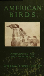 American birds studied and photographed from life_cover
