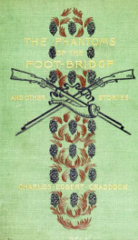 The phantoms of the foot-bridge, and other stories_cover