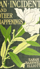 An incident, and other happenings_cover