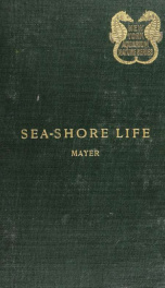 Sea-shore life; the invertebrates of the New York coast_cover