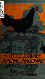 A little journey among Anconas_cover