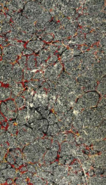 Genera Lichenum: an arrangement of the North American lichens_cover