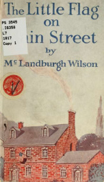 The little flag on Main street_cover