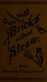 Bricks without straw : a novel_cover