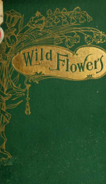 A collection of wild flowers_cover