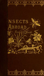 Insects abroad : being a popular account of foreign insects, their structure, habits, and transformations_cover