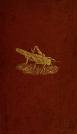 Insects at home; being a popular account of insects, their structure, habits and transformations_cover