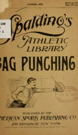 Bag punching_cover