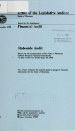 Statewide audit : financial audit for the fiscal year ended ... 1992_cover