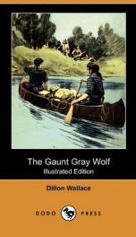 The Gaunt Gray Wolf_cover