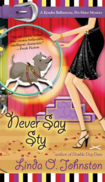 Never say Sty_cover