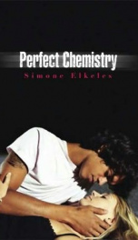  Perfect Chemistry_cover