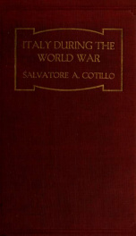 Italy during the world war_cover