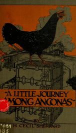 A little journey among Anconas_cover