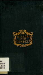 The mirror of the Gospel_cover