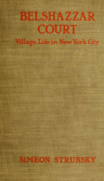 Belshazzar court; or, Village life in New York city_cover