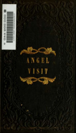 An angel visit, or, recollections of gentle lizzie : a sketch from life_cover