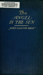 The angel in the sun; glimpses of the light eternal_cover