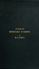 Studies of inheritance in rabbits_cover