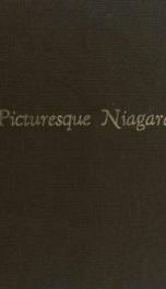 Picturesque Niagara_cover