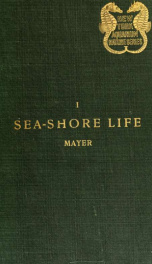 Sea-shore life; The invertebrates of the New York coast_cover