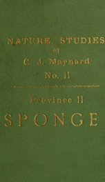 Sponges; poriferae_cover