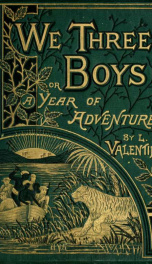 We three boys : or, A year of adventure_cover