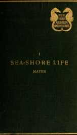 Sea-shore life; the invertebrates of the New York coast and the adjacent coast region_cover