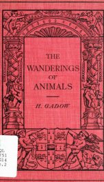 The wanderings of animals_cover