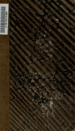 Inscription runique du Pirée. Interprétée par C.C. Rafn et publiée par la Société royale des antiquaires du Nord_cover