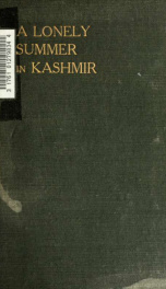 A lonely summer in Kashmir_cover