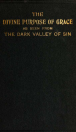 The divine purpose of grace as seen from the dark valley of sin in the light of the methods of Christ and of the spirit_cover