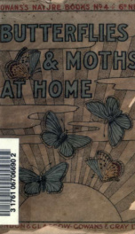 Butterflies and moths at home_cover