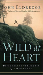 Wild at Heart  Discovering the Secrets of a Man's Soul _cover