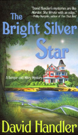  The Bright Silver Star_cover