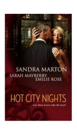 Hot City Nights    _cover